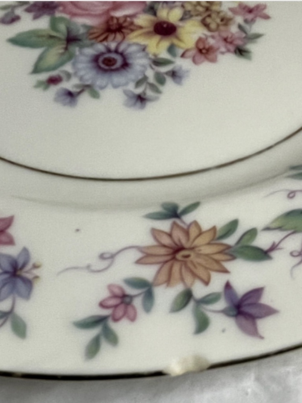 Vintage Theodor Haviland "Springtime" (New York) Salad Plate 7 1/2" set of 8 - Picture 16 of 16